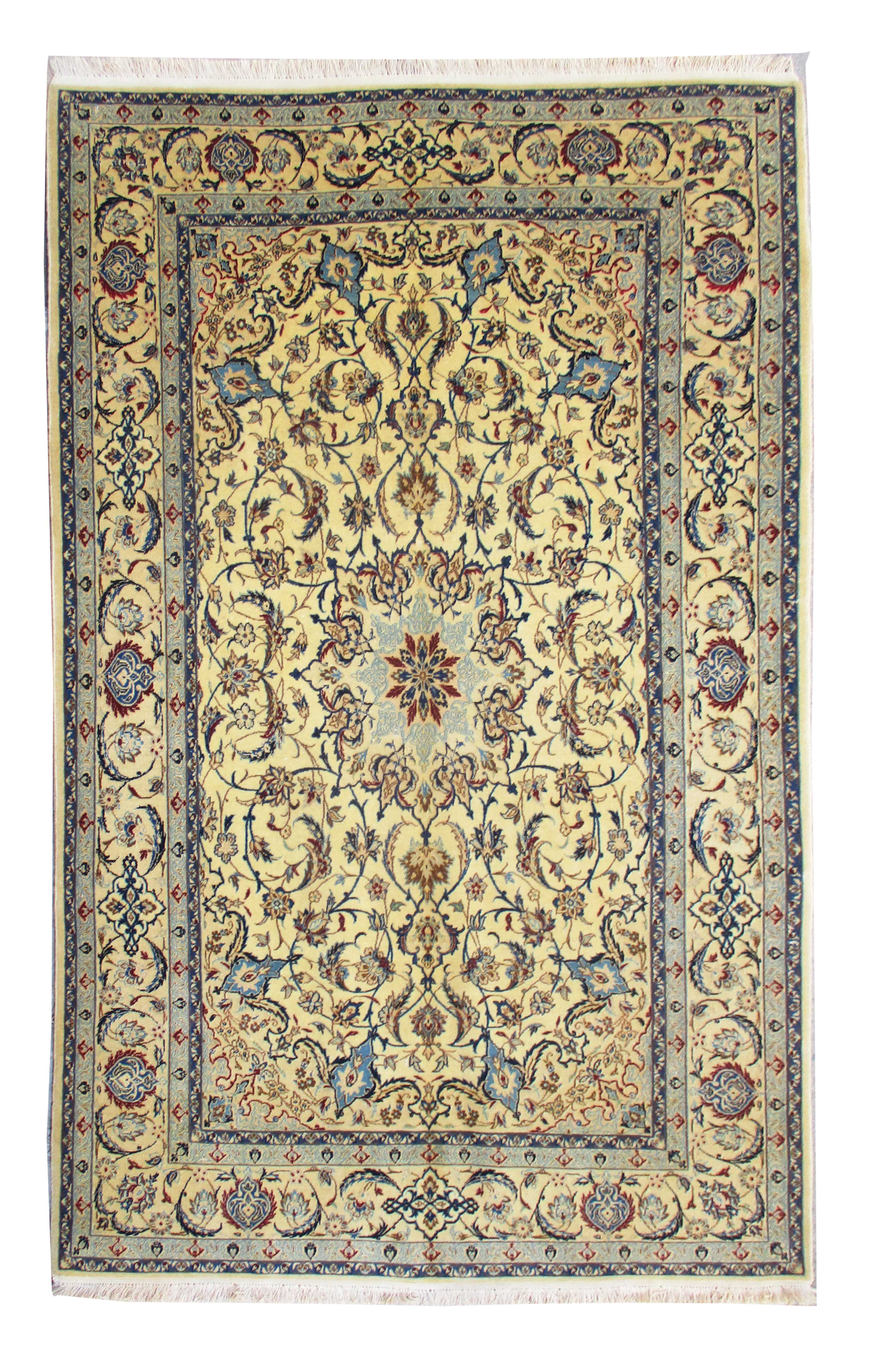 Persian Nain Shishla