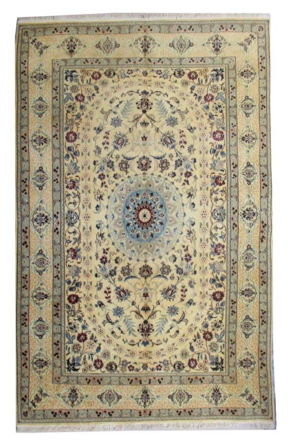 Persian Nain Shishla