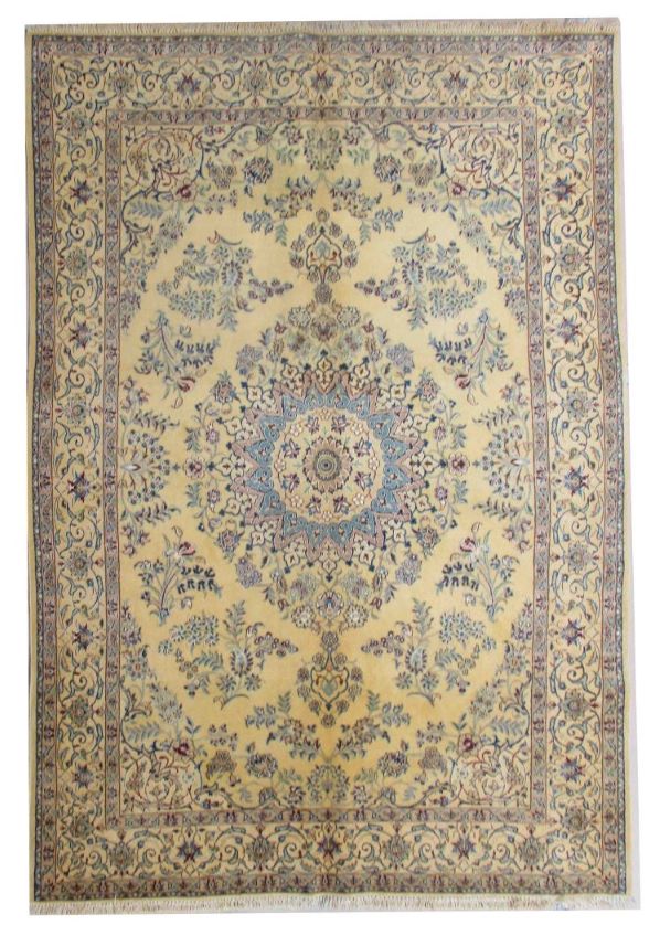 Persian Nain Shishla
